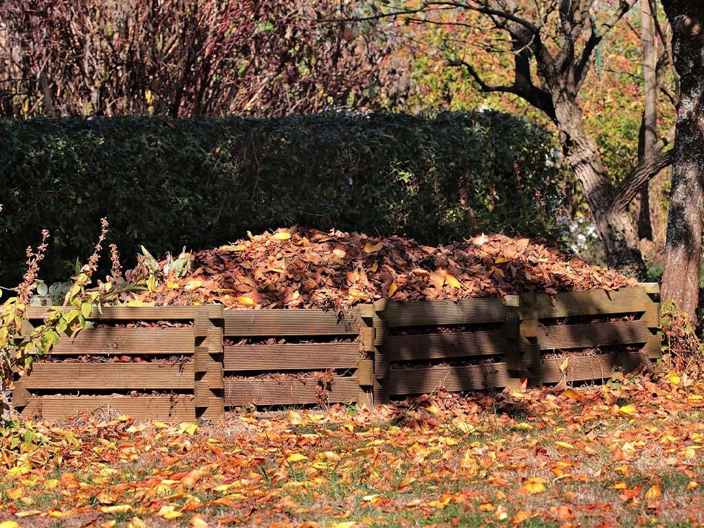 Pile of leaves in the garden