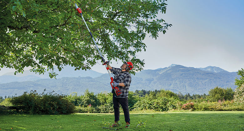 A man is cutting branches with the Einhell cordless pole saw
