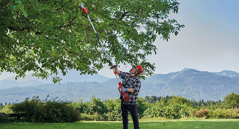 man cutting tree with pole saw